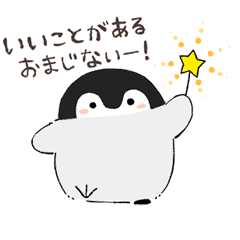 king@ぽちゃ専