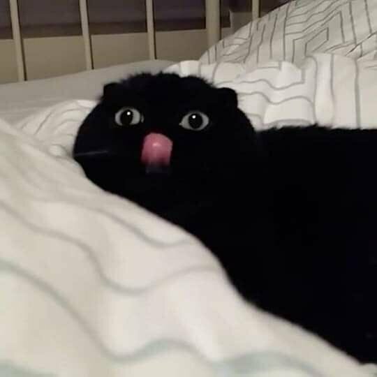 安然