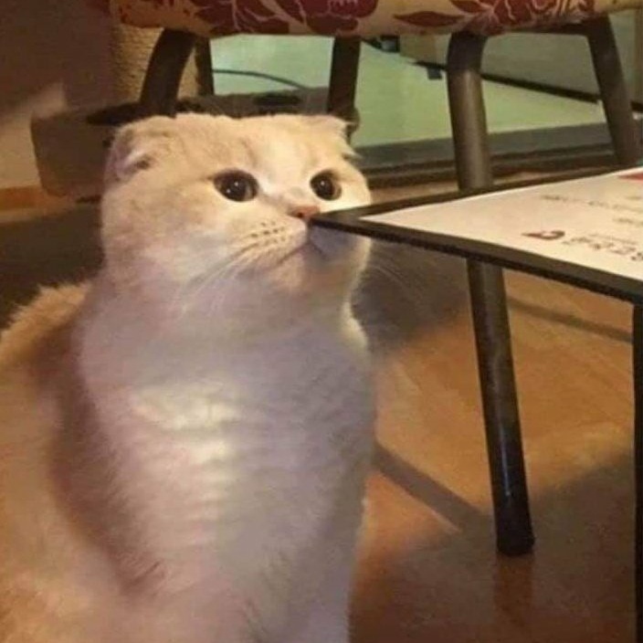 홍