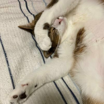正留 慎也