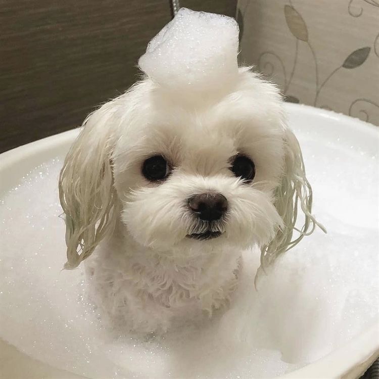 쟁구