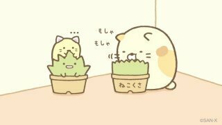 とある栃木のナミおねいさん