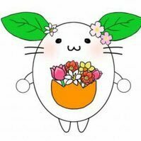 タマえもん