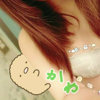 かめ🐢