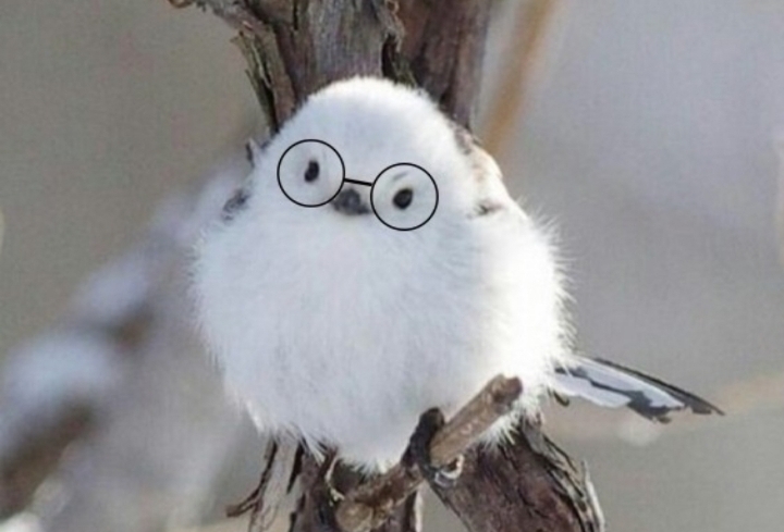전학