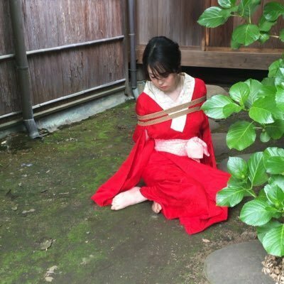 月乃悠(つきのはるか)