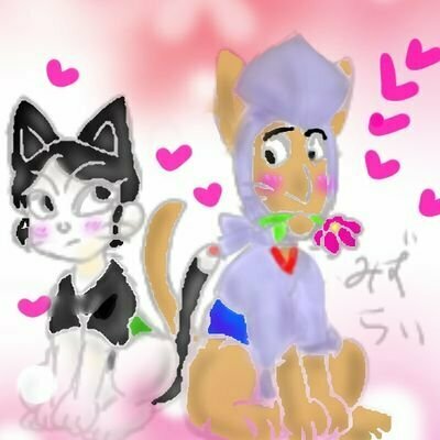 ミズキ
