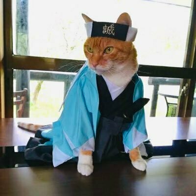 新撰組@大学編入
