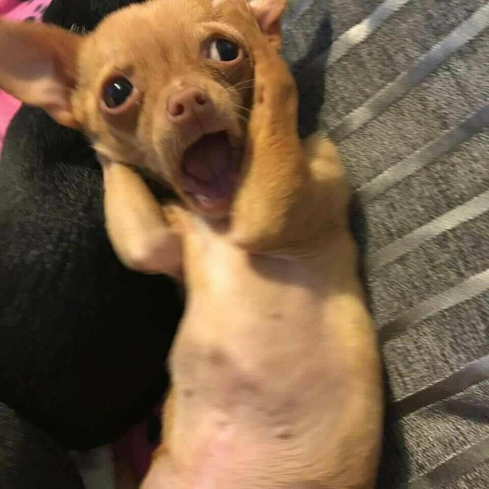 얍깅