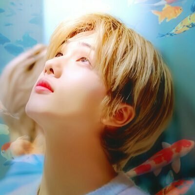 시고
