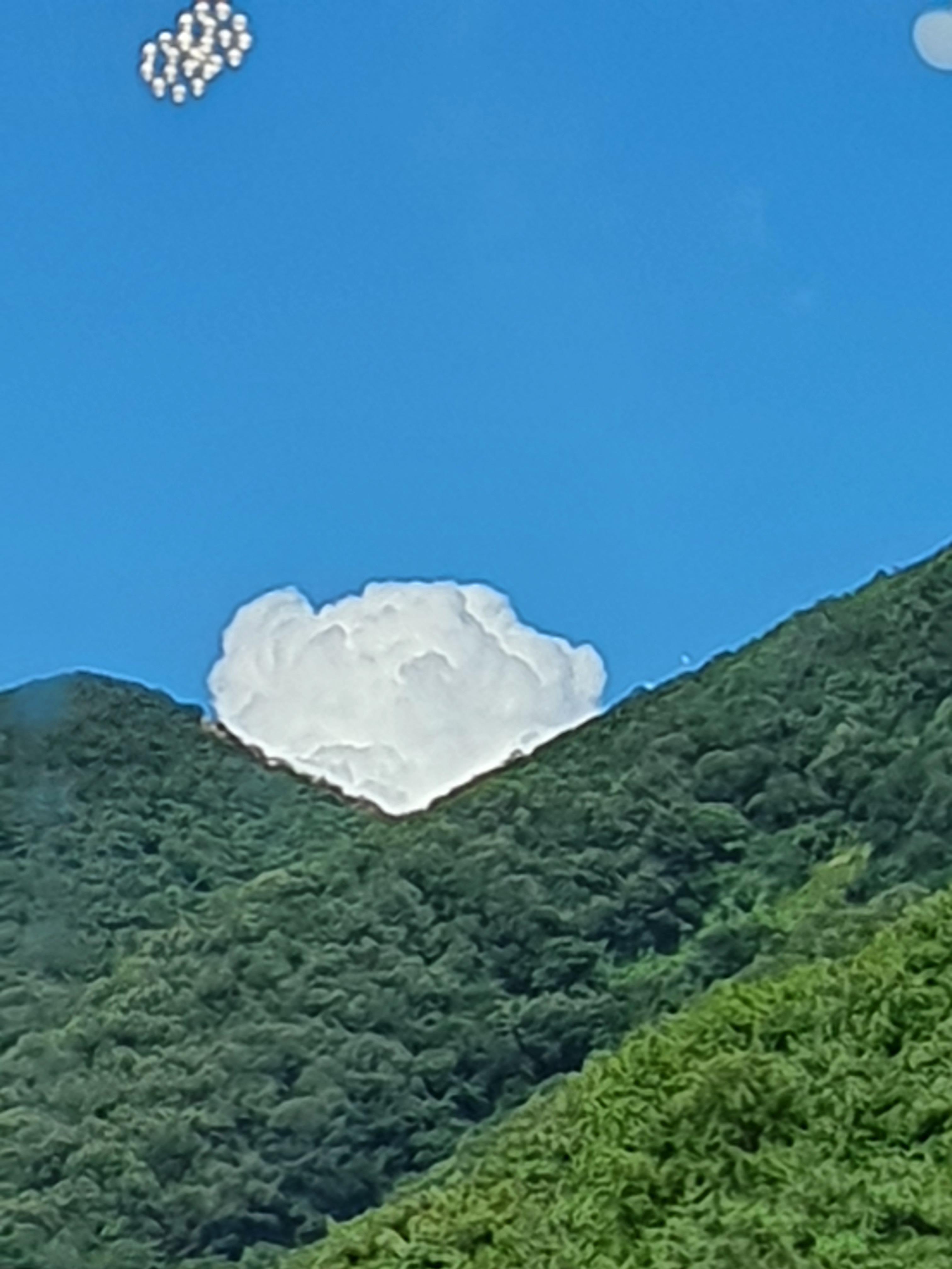 쪽빛새벽