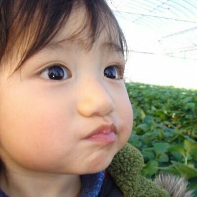 ぱぴ