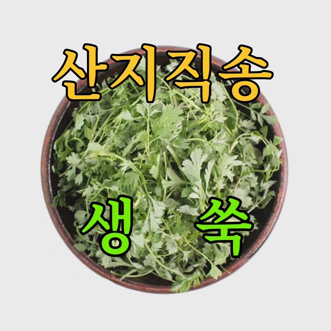 🍀쑥스콘🍀