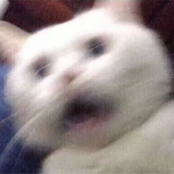 카도