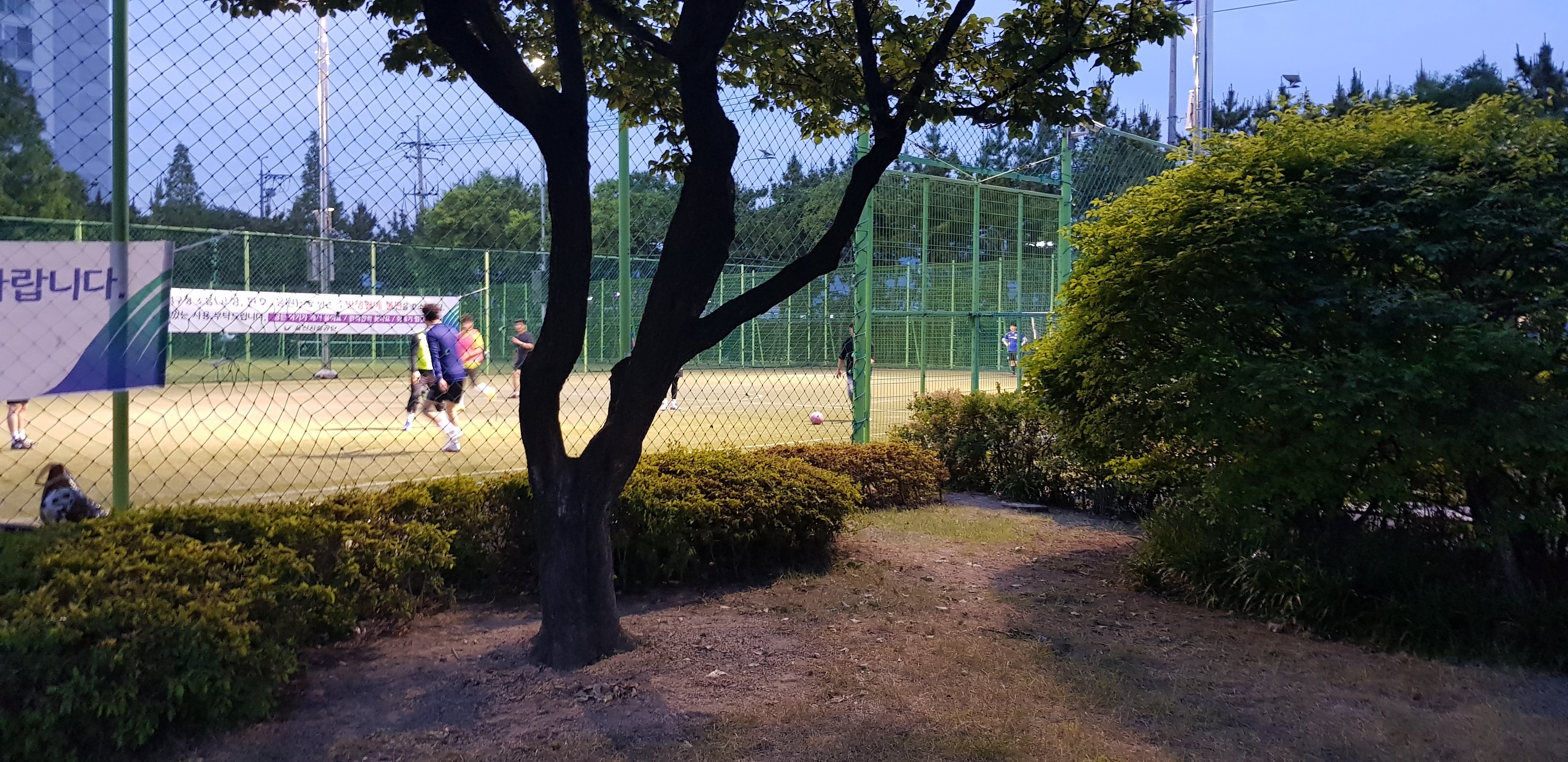 플레이트