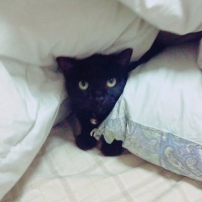 ｱｰﾘﾝ酸