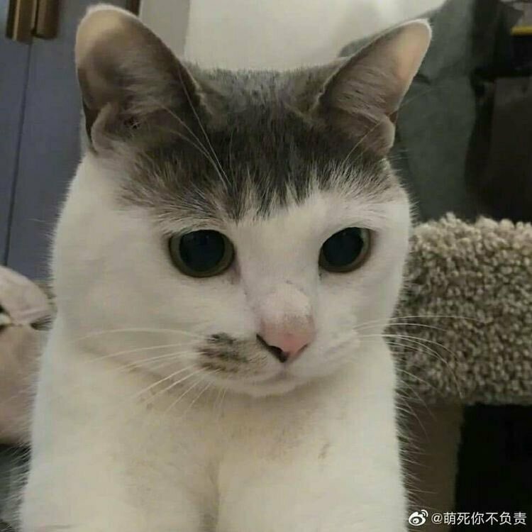 이레