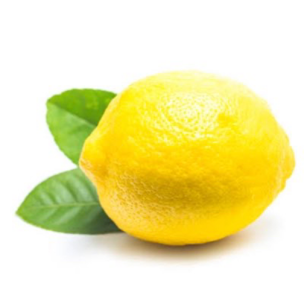 レモン🍋中学受験