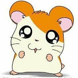 🐹うらら🐹