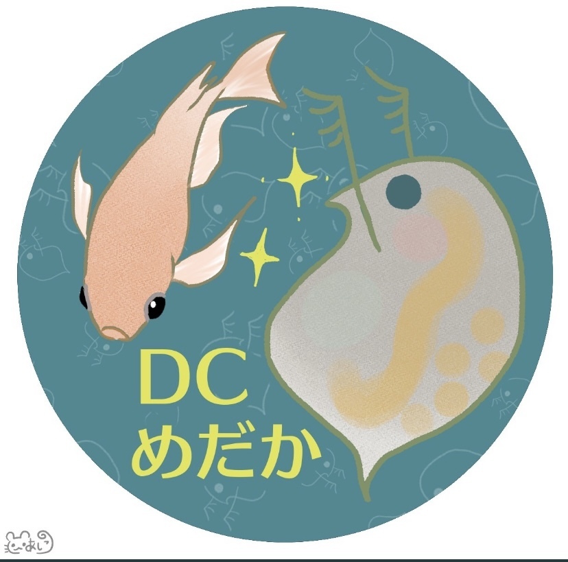 それゆけ！！DCめだか！！【YouTube】