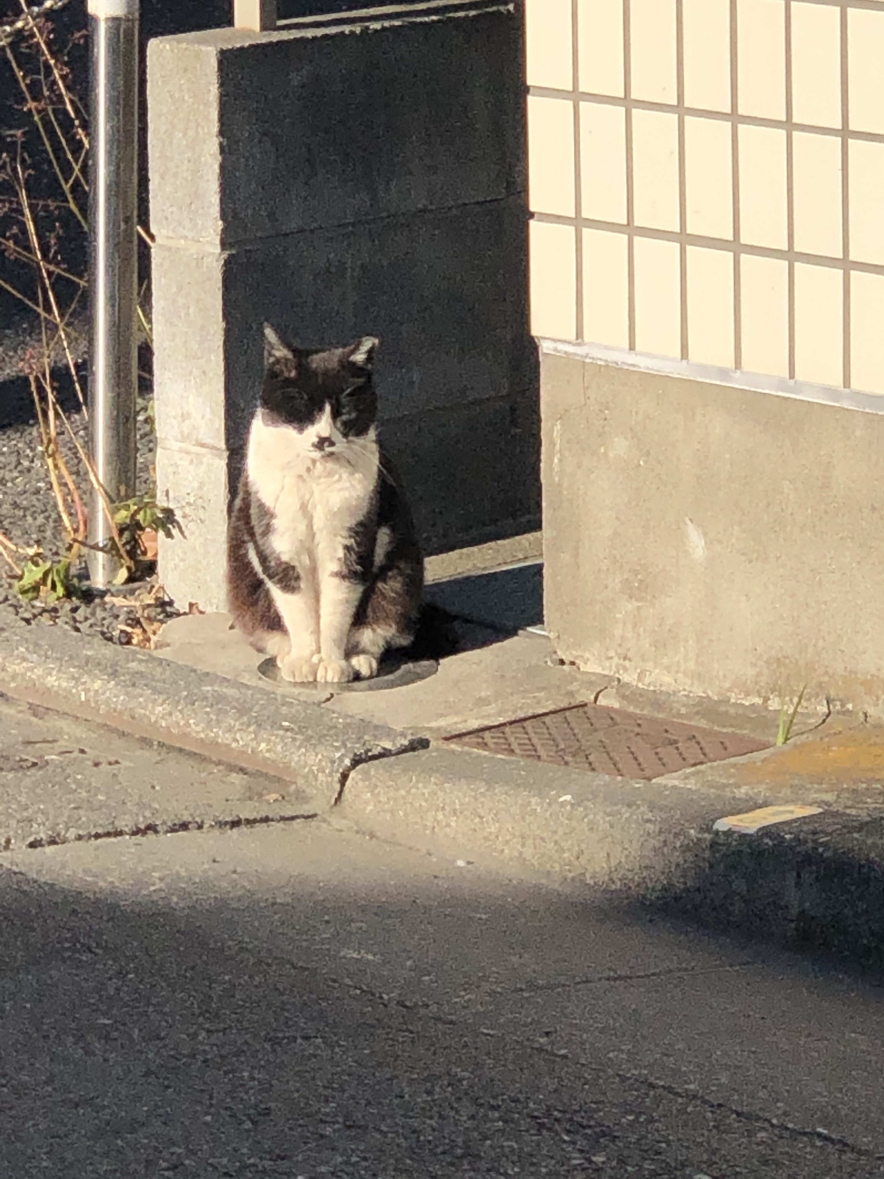 月賦