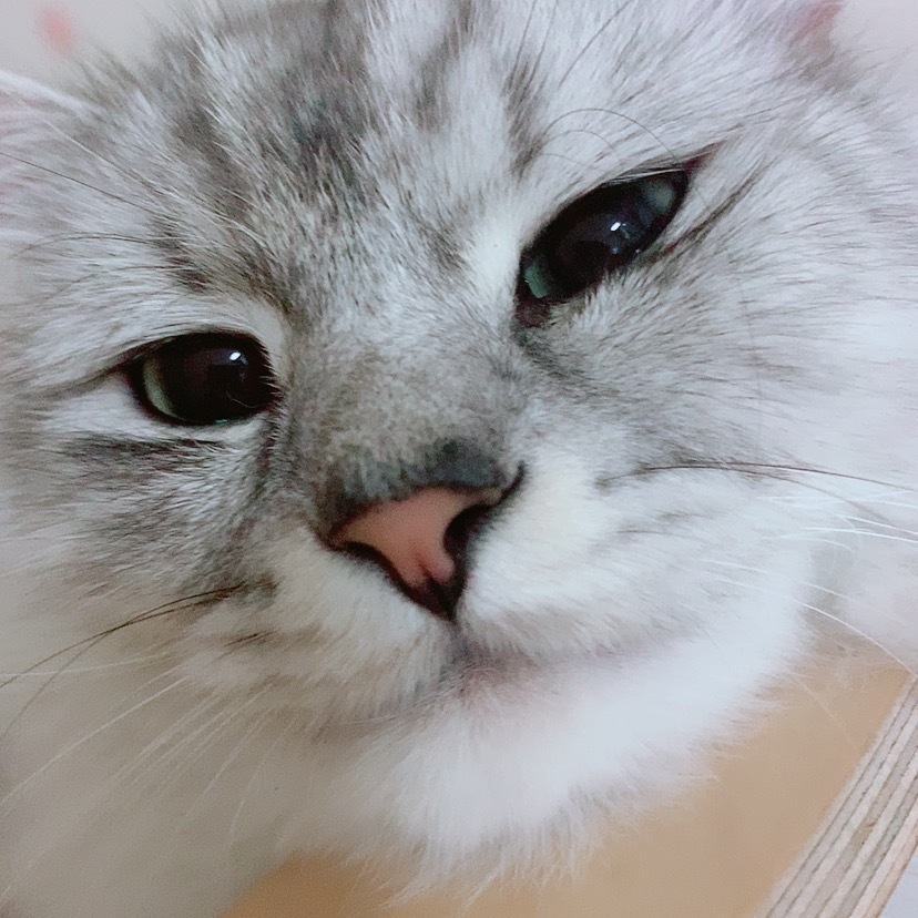 달토