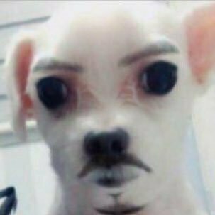 벽