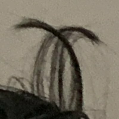通行人A