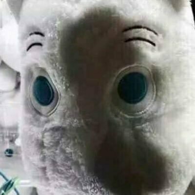 쌈