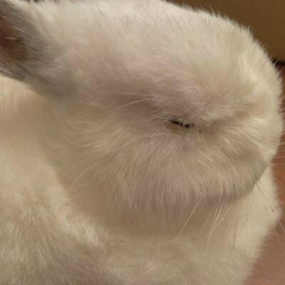 ニュータウン
