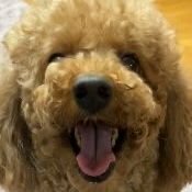 간지