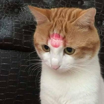 칠초