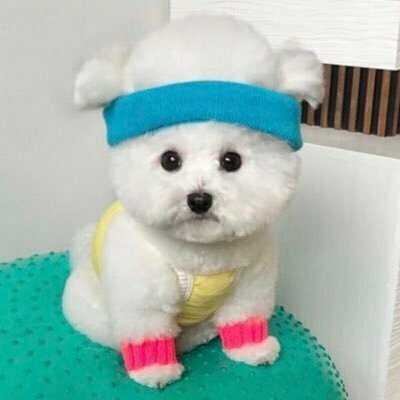 引き子👦🏻