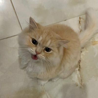 みかん