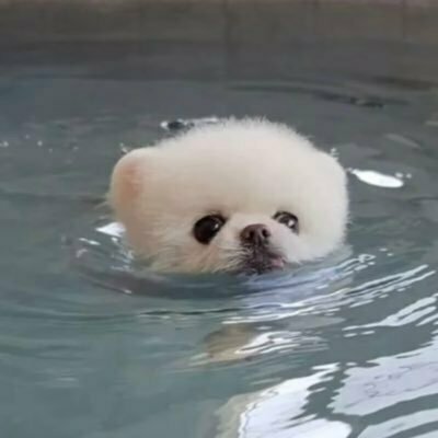 苦味