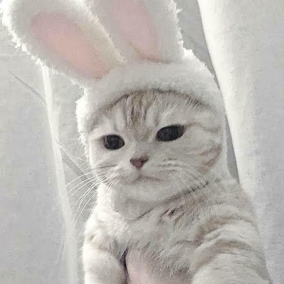 てい