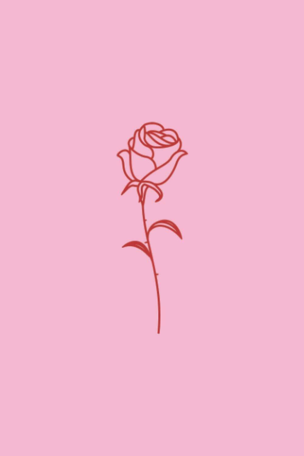 ✵°✵.｡.✰ 튤리 ✰.｡.✵°✵