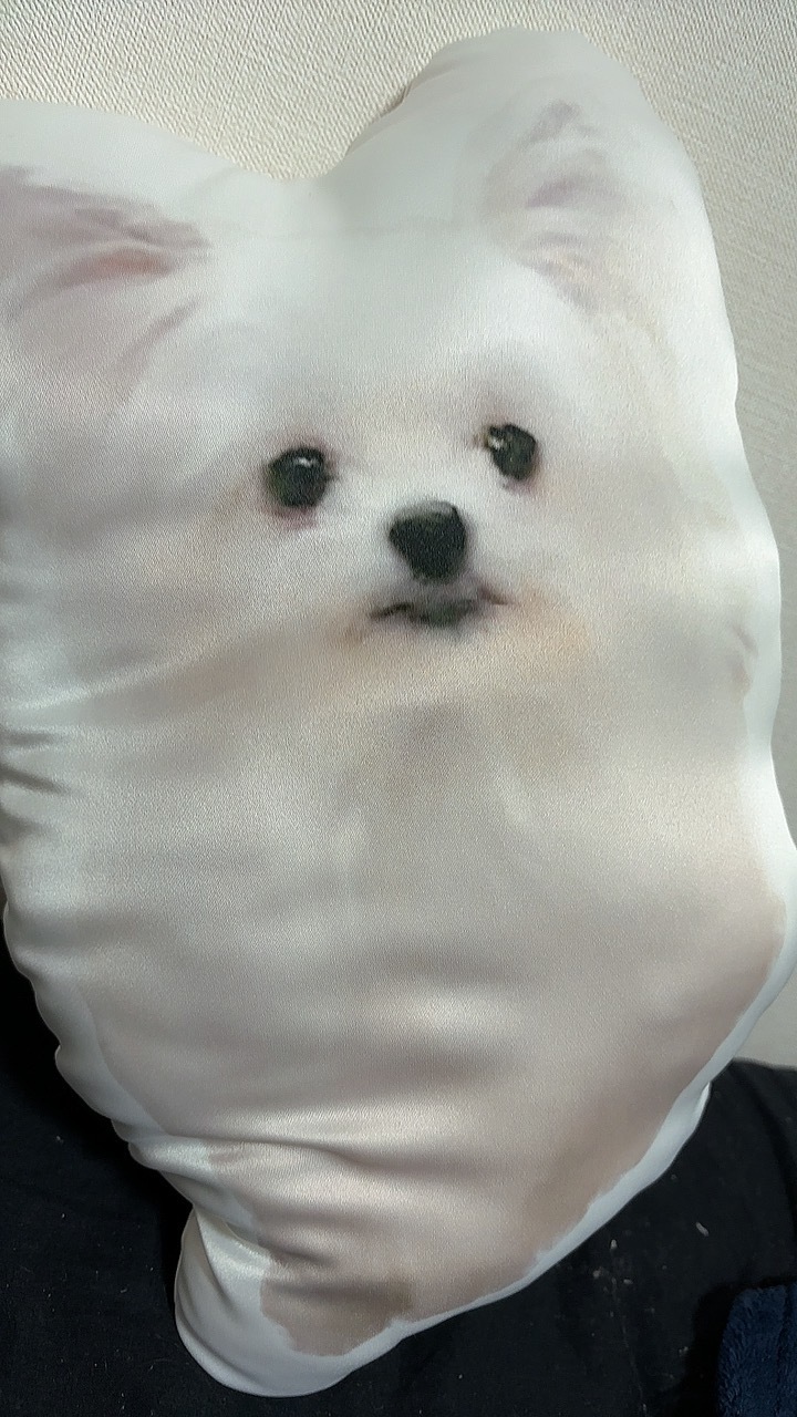 ぽ茶