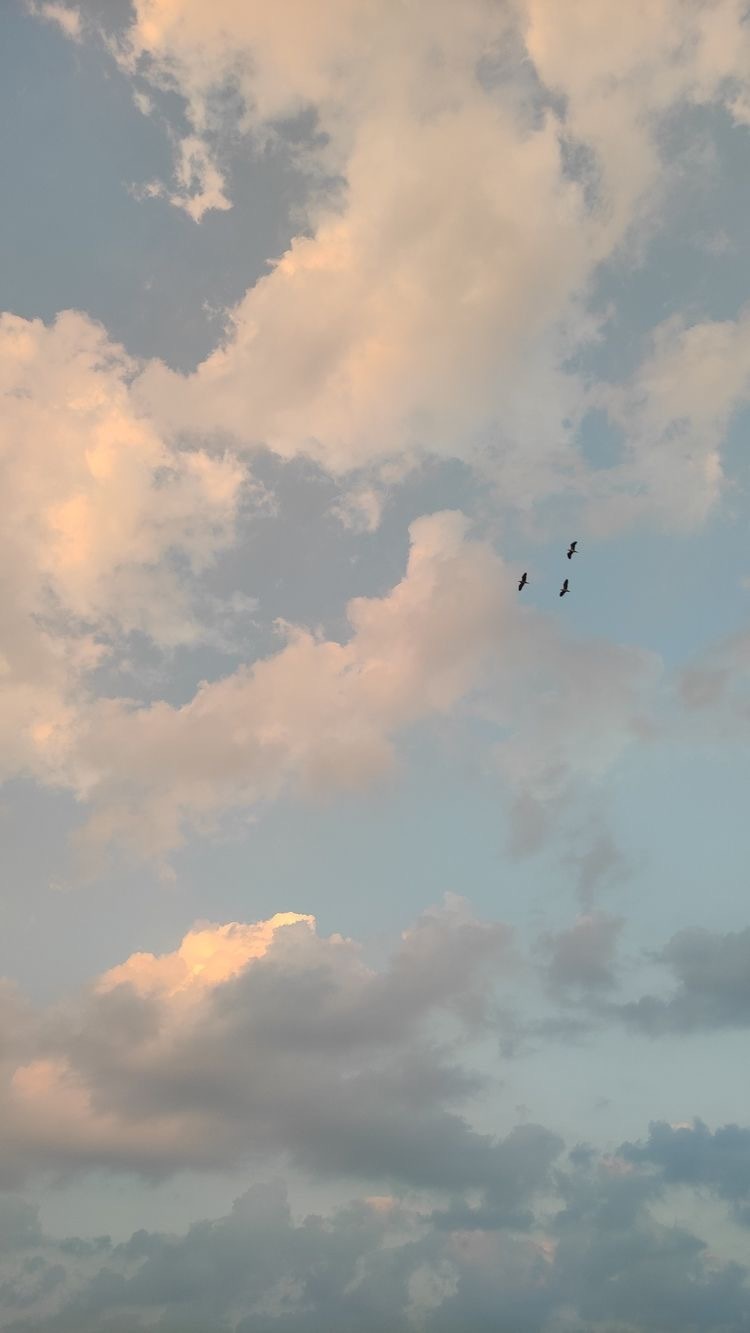 あおい