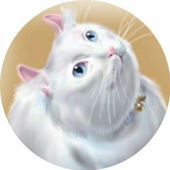 animatoriwane
