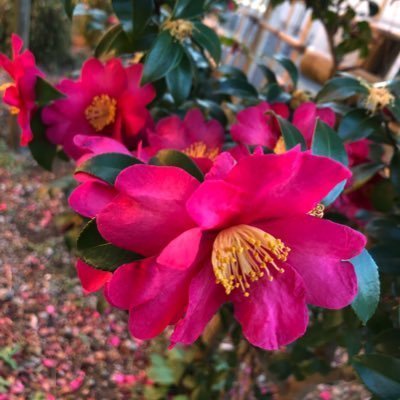 🎀あや🎀裏垢