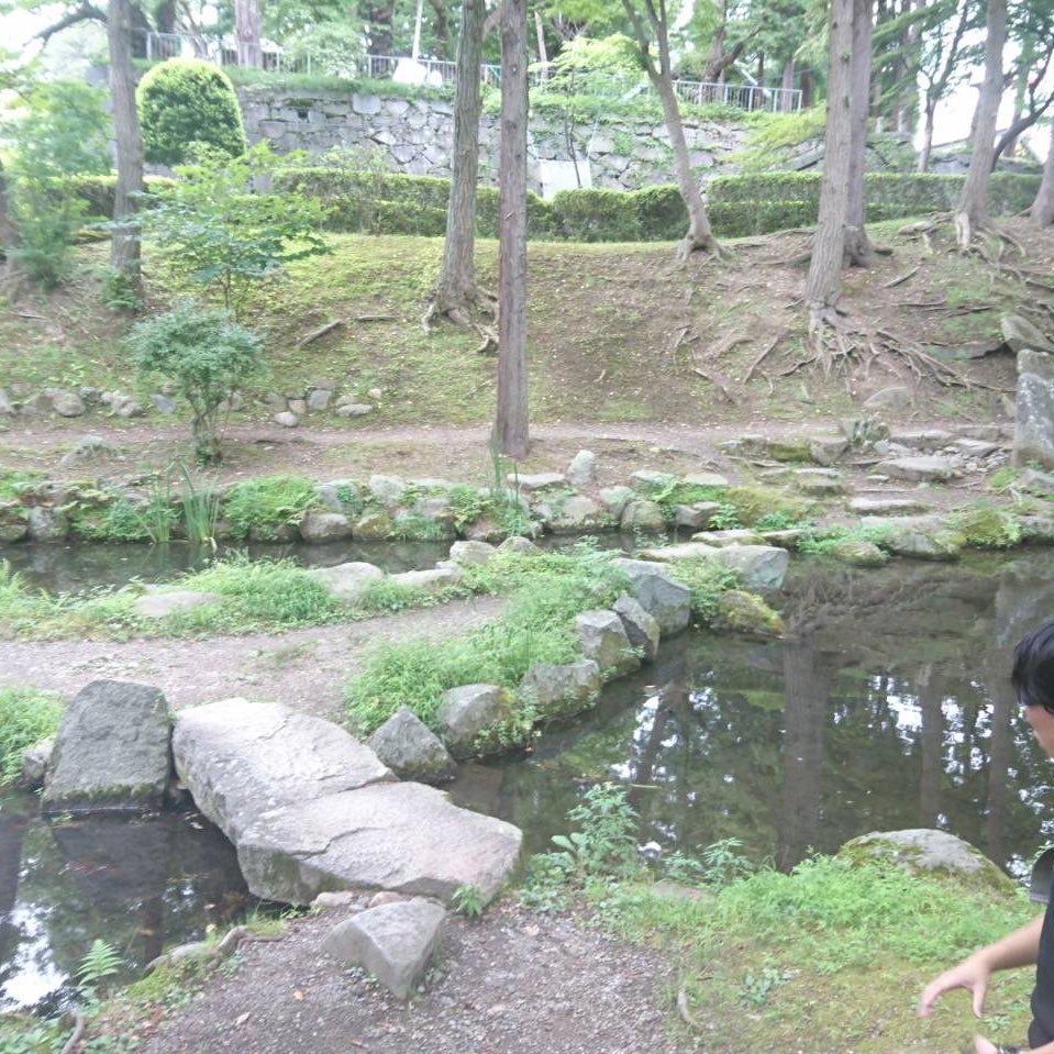 あひる