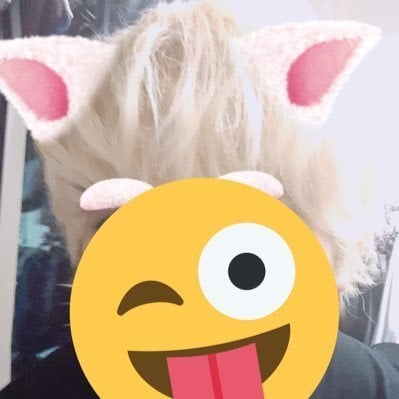 せーい。