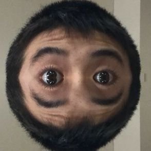 Taisei