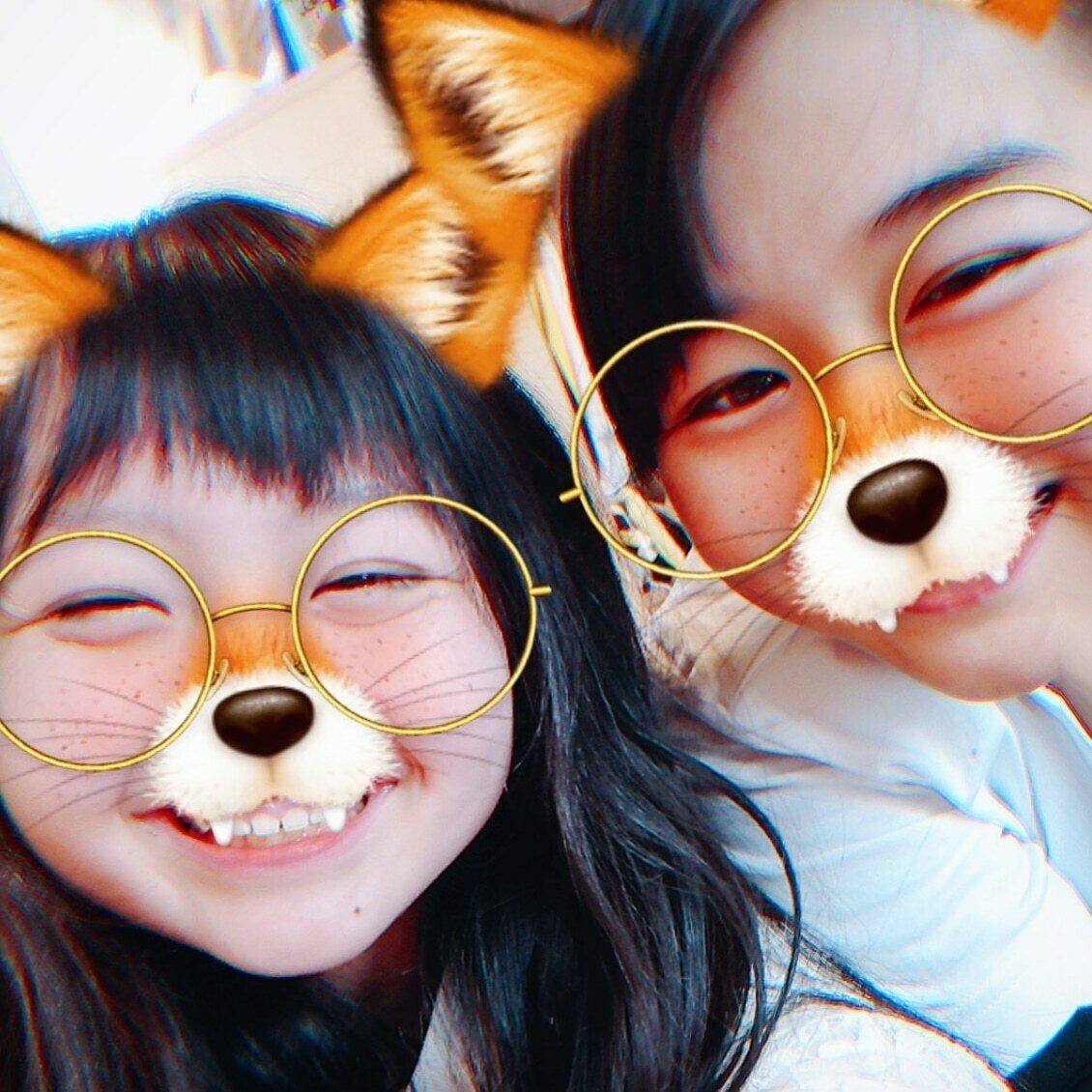 (๑•🐽•๑)ﾌﾟｰ