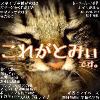 とみぃ(cas垢)