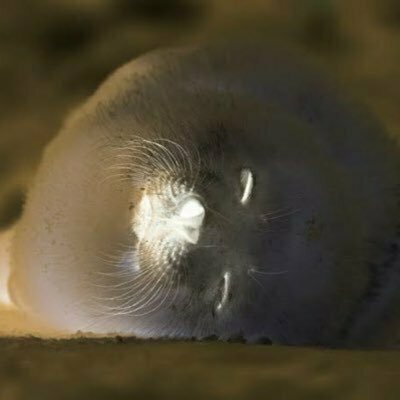 そーめん