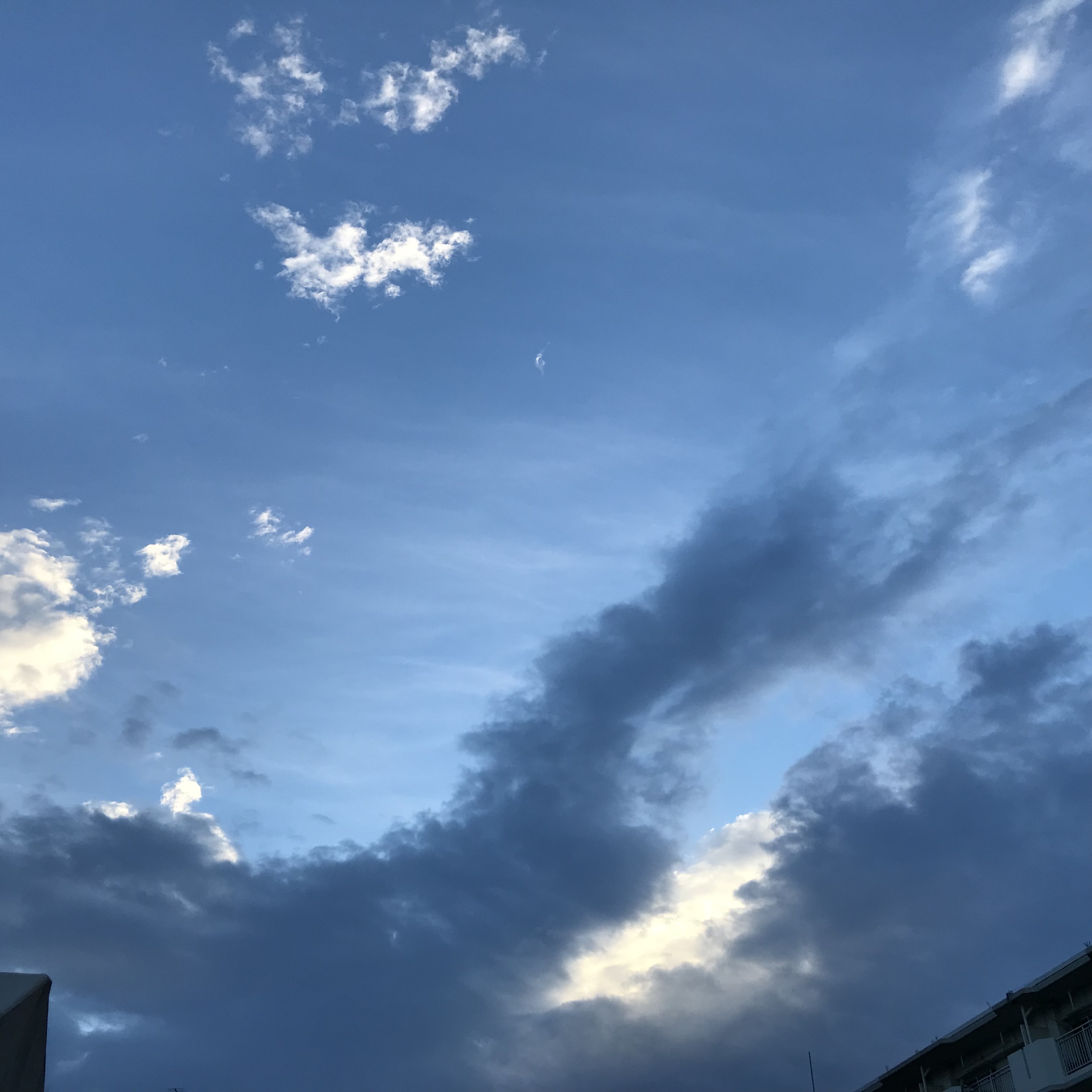 ☆ともか☆
