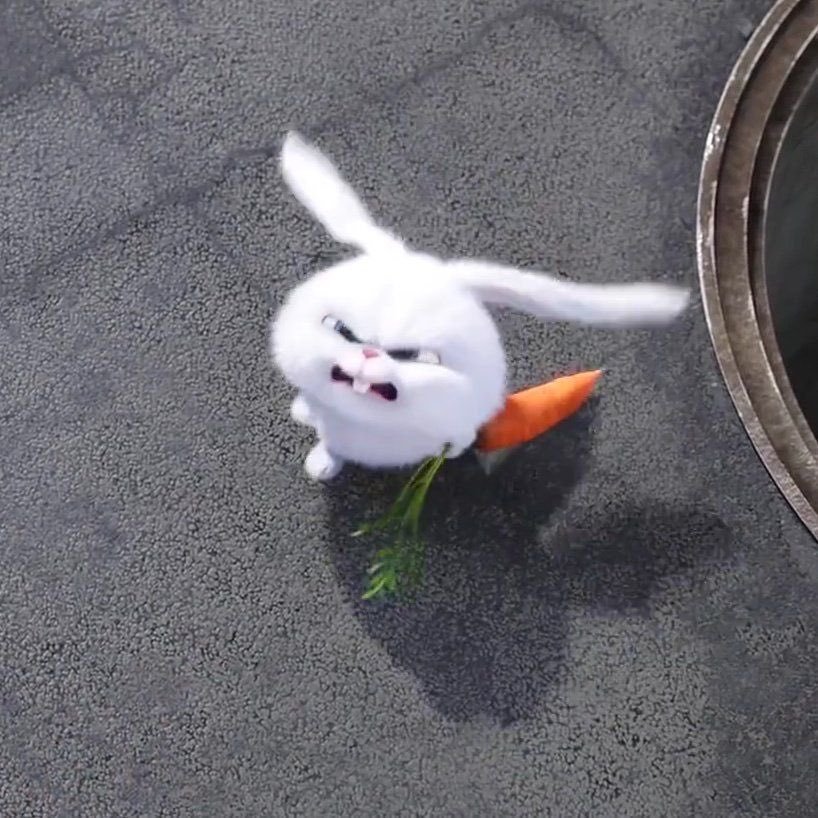 冰冰