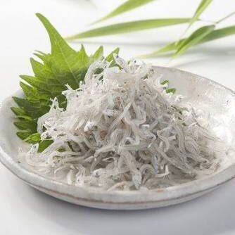 塵メン雑魚(Jaco)